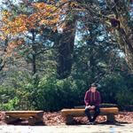 ผู้สร้าง SEO Thailand