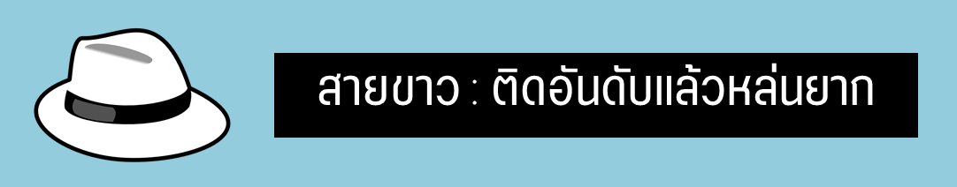 รับทำ SEO สายขาว