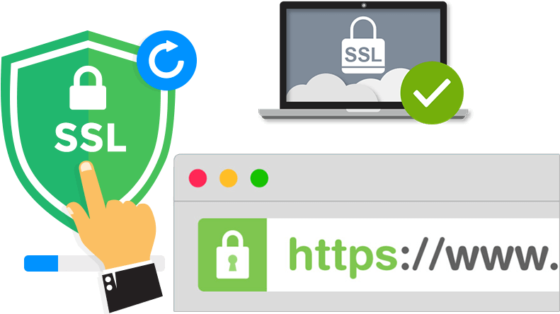 SSL Certificate