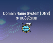 DNS cover